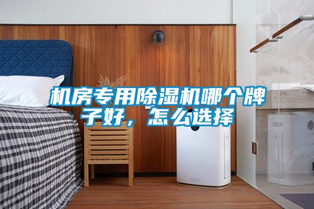 機(jī)房專(zhuān)用除濕機(jī)哪個(gè)牌子好,怎么選擇