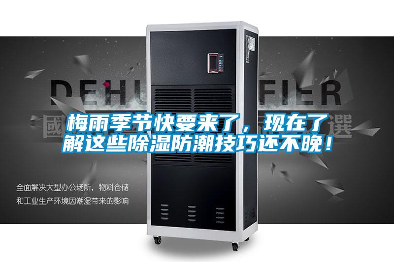 梅雨季節(jié)快要來(lái)了,現(xiàn)在了解這些除濕防潮技巧還不晚!