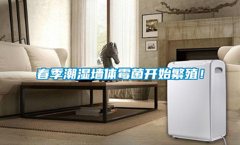 春季潮濕墻體霉菌開始繁殖!