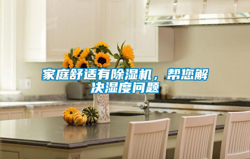 家庭舒適有除濕機，幫您解決濕度問題