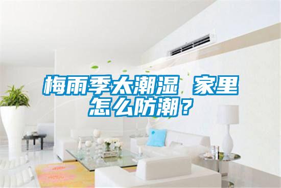 梅雨季太潮濕 家里怎么防潮?