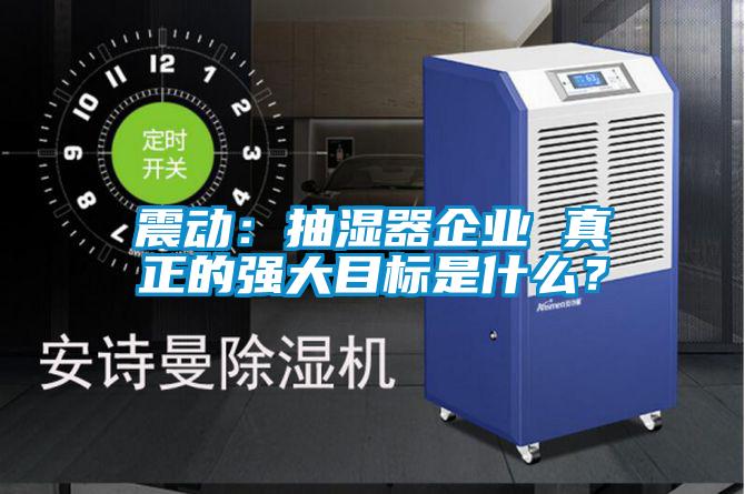 震動：抽濕器企業 真正的強大目標是什么？