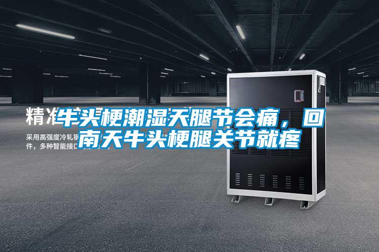 牛頭梗潮濕天腿節(jié)會痛，回南天牛頭梗腿關節(jié)就疼