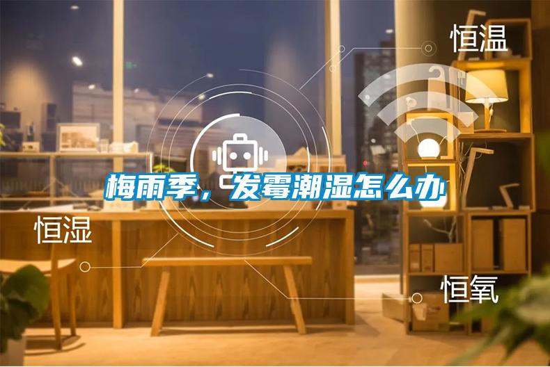 梅雨季，發霉潮濕怎么辦