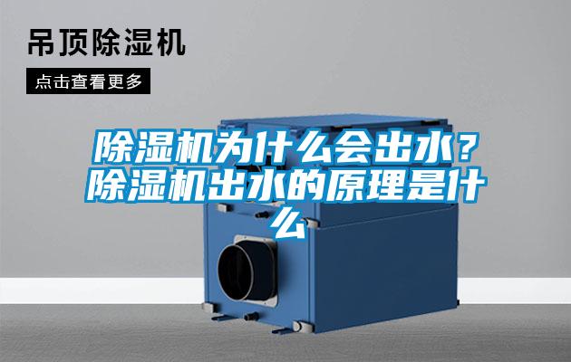 除濕機(jī)為什么會(huì)出水？除濕機(jī)出水的原理是什么