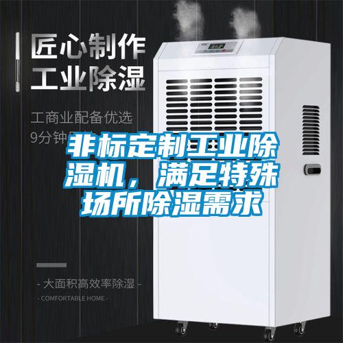 非標定制工業(yè)除濕機,滿足特殊場所除濕需求