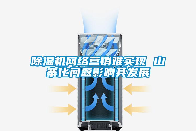 除濕機網(wǎng)絡營銷難實現(xiàn) 山寨化問題影響其發(fā)展