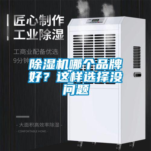 除濕機哪個品牌好?這樣選擇沒問題