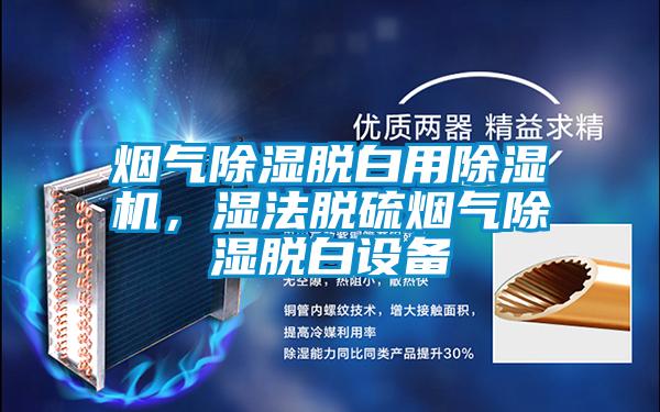 煙氣除濕脫白用除濕機(jī)，濕法脫硫煙氣除濕脫白設(shè)備