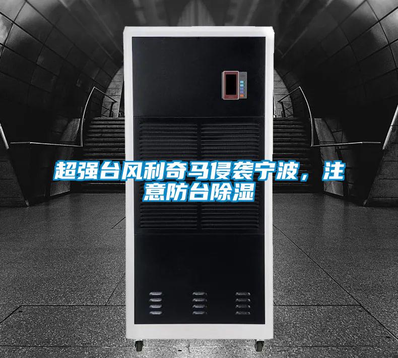 超強臺風利奇馬侵襲寧波，注意防臺除濕