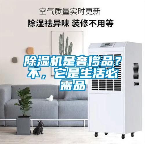 除濕機是奢侈品？不，它是生活必需品