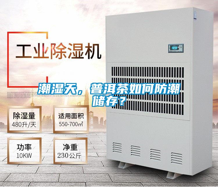 潮濕天,普洱茶如何防潮儲(chǔ)存?