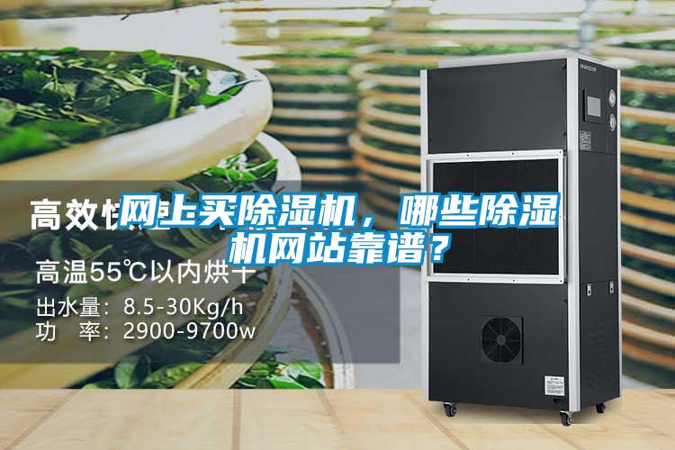 網(wǎng)上買除濕機(jī),哪些除濕機(jī)網(wǎng)站靠譜?