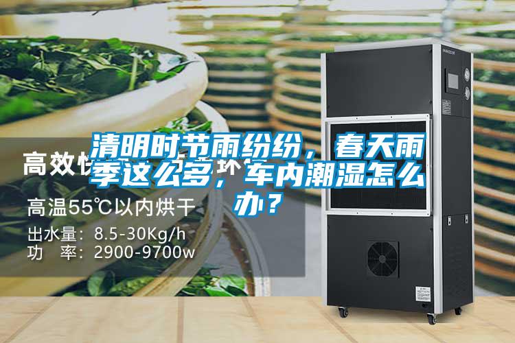 清明時節(jié)雨紛紛，春天雨季這么多，車內(nèi)潮濕怎么辦？