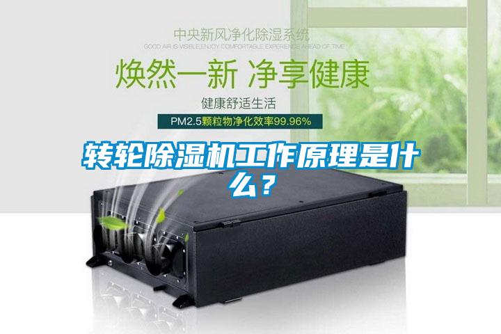轉輪除濕機工作原理是什么？