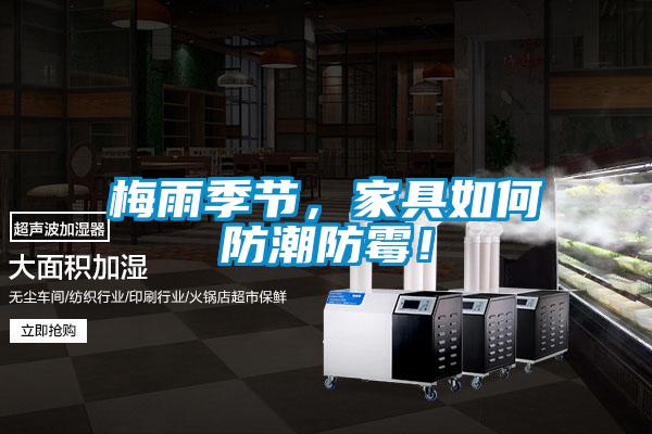 梅雨季節，家具如何防潮防霉！