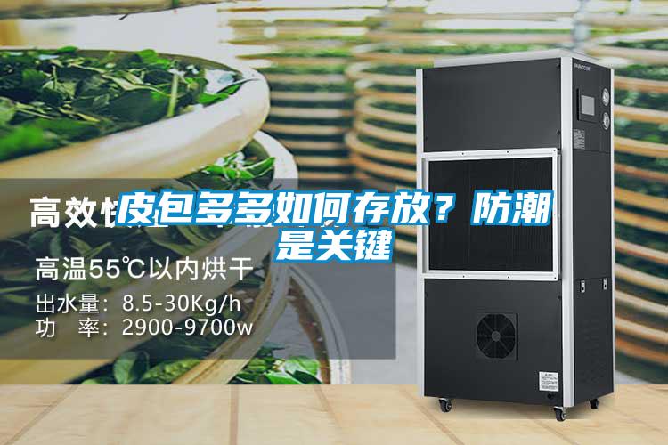 皮包多多如何存放?防潮是關鍵