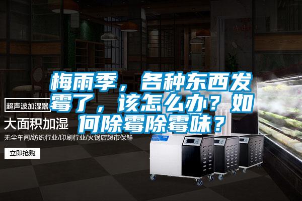 梅雨季,各種東西發(fā)霉了,該怎么辦?如何除霉除霉味?