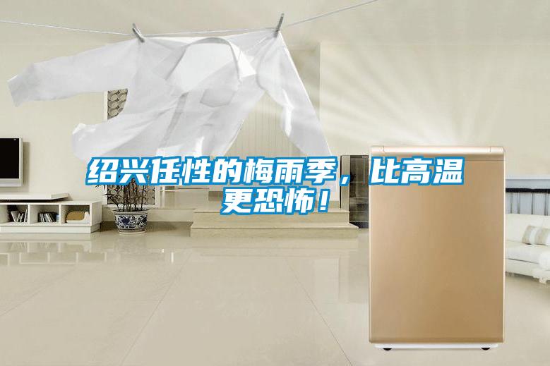 紹興任性的梅雨季，比高溫更恐怖！