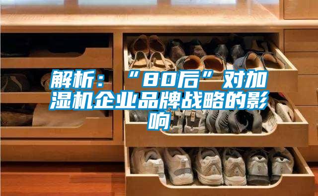 解析:“80后”對加濕機企業(yè)品牌戰(zhàn)略的影響