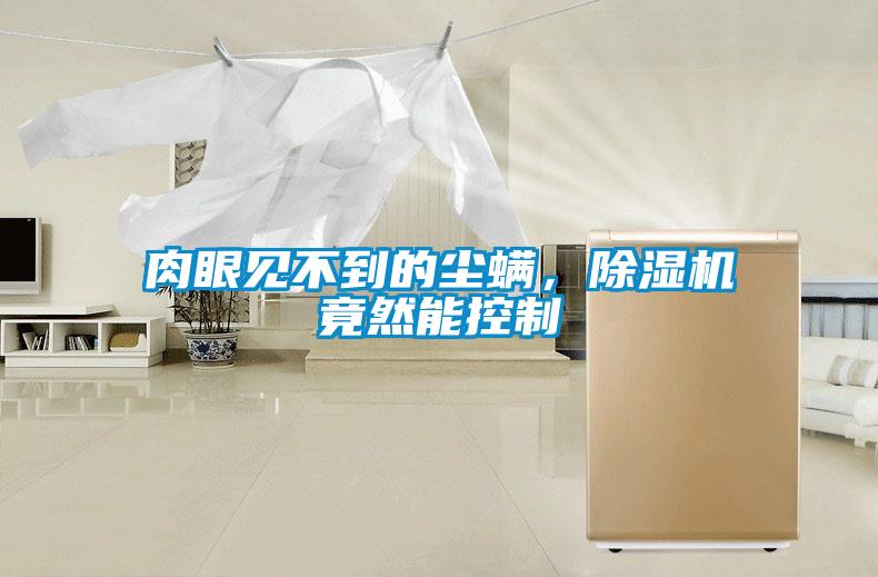 肉眼見不到的塵螨，除濕機竟然能控制
