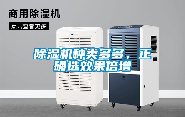 除濕機種類多多,正確選效果倍增