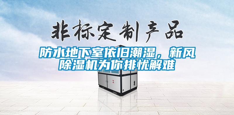 防水地下室依舊潮濕，新風除濕機為你排憂解難
