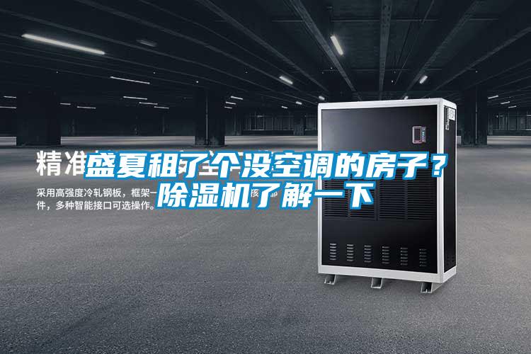 盛夏租了個沒空調的房子?除濕機了解一下