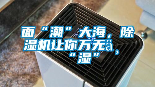 面“潮”大海,除濕機讓你萬無一“濕”