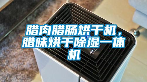 臘肉臘腸烘干機(jī)，臘味烘干除濕一體機(jī)