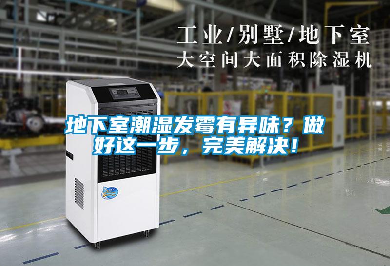 地下室潮濕發(fā)霉有異味?做好這一步,完美解決!