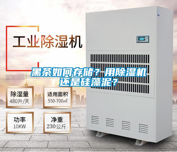 黑茶如何存儲？用除濕機(jī)還是硅藻泥？