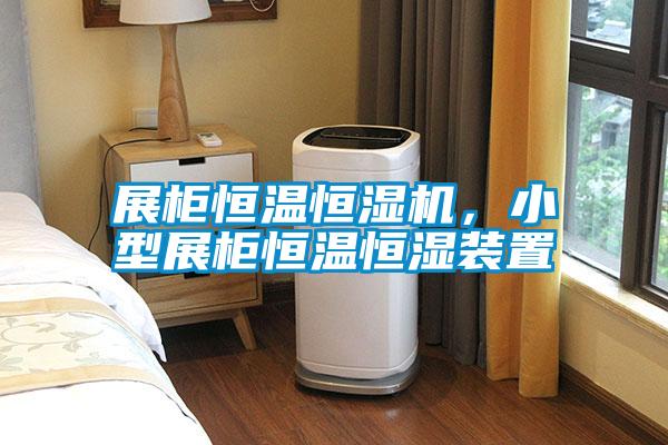 展柜恒溫恒濕機(jī),小型展柜恒溫恒濕裝置