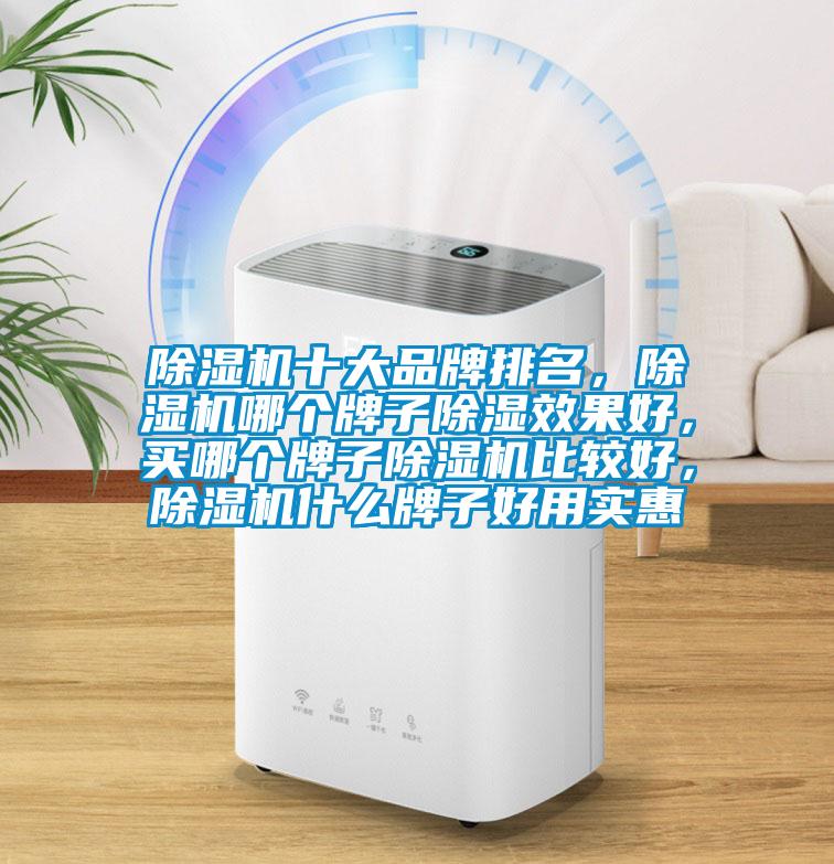 除濕機十大品牌排名，除濕機哪個牌子除濕效果好，買哪個牌子除濕機比較好，除濕機什么牌子好用實惠