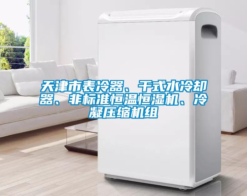 天津市表冷器、干式水冷卻器、非標(biāo)準(zhǔn)恒溫恒濕機(jī)、冷凝壓縮機(jī)組