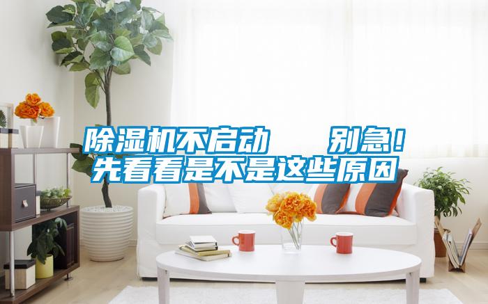 除濕機不啟動 別急!先看看是不是這些原因