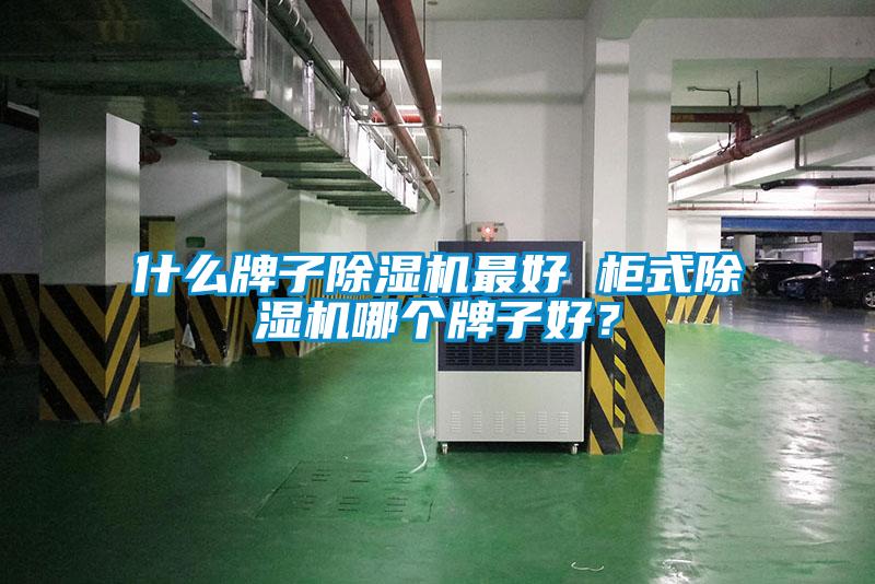 什么牌子除濕機(jī)最好 柜式除濕機(jī)哪個(gè)牌子好？