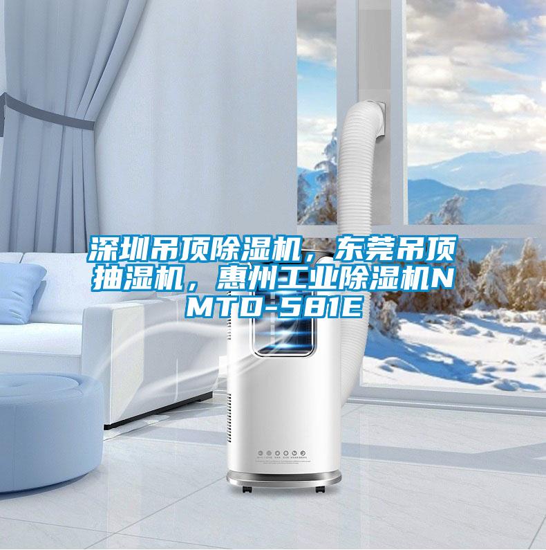 深圳吊頂除濕機，東莞吊頂抽濕機，惠州工業除濕機NMTD-581E