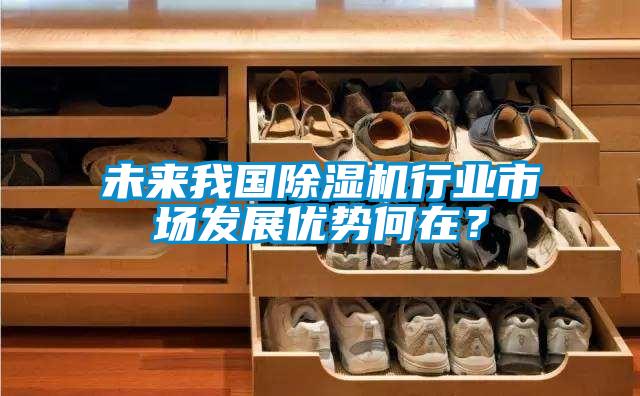 未來我國除濕機行業市場發展優勢何在？