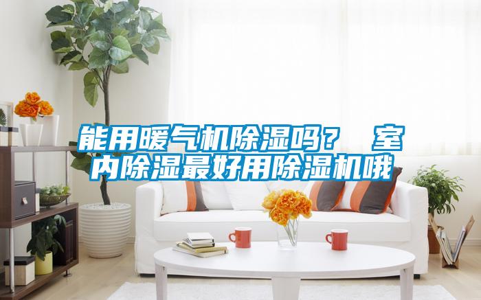 能用暖氣機(jī)除濕嗎? 室內(nèi)除濕最好用除濕機(jī)哦
