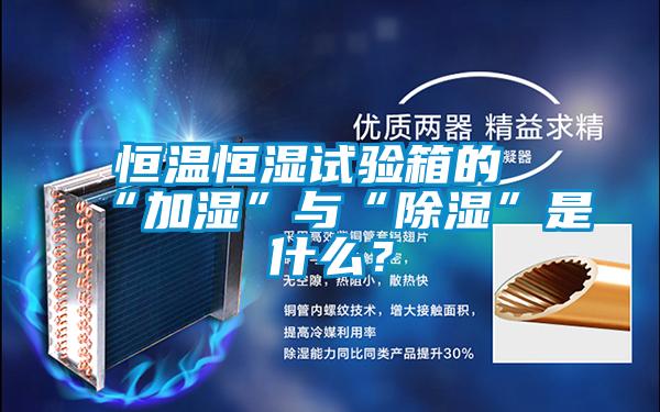 恒溫恒濕試驗箱的“加濕”與“除濕”是什么?