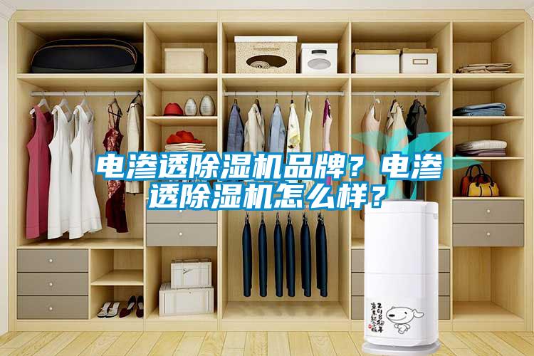 電滲透除濕機品牌？電滲透除濕機怎么樣？