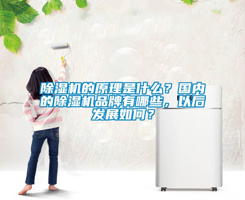 除濕機的原理是什么?國內的除濕機品牌有哪些,以后發展如何?