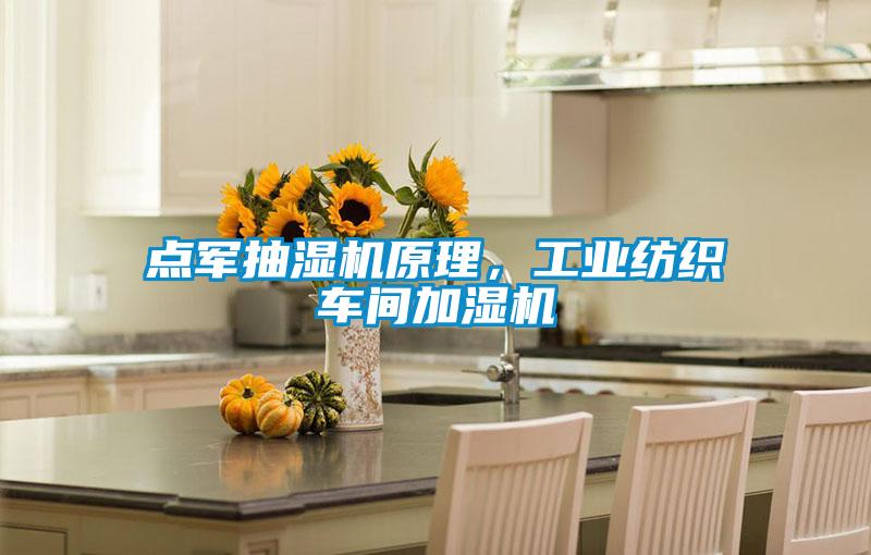點軍抽濕機原理，工業紡織車間加濕機