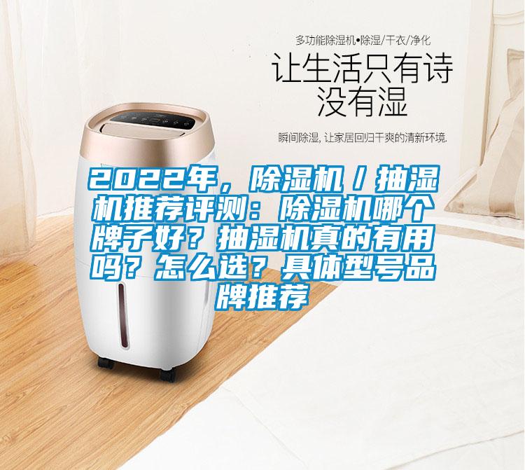 2022年,除濕機/抽濕機推薦評測:除濕機哪個牌子好?抽濕機真的有用嗎?怎么選?具體型號品牌推薦