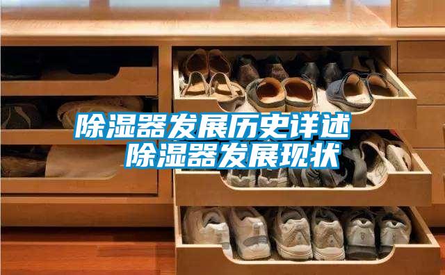 除濕器發(fā)展歷史詳述 除濕器發(fā)展現(xiàn)狀