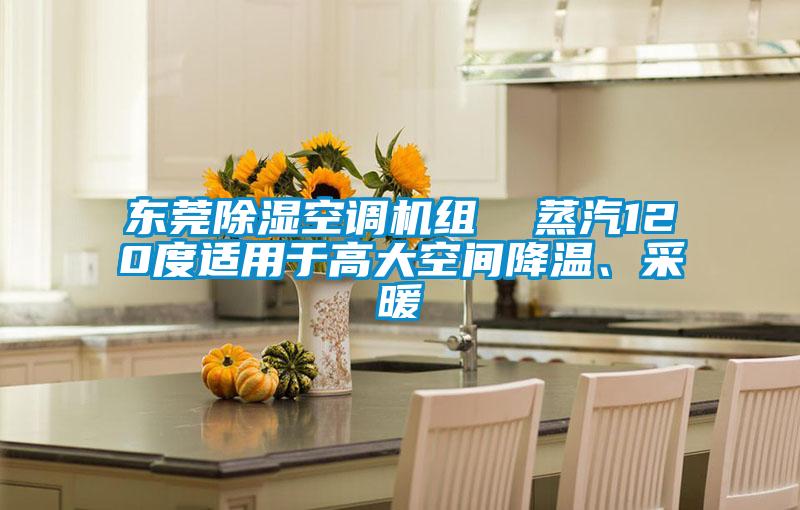 東莞除濕空調機組  蒸汽120度適用于高大空間降溫、采暖