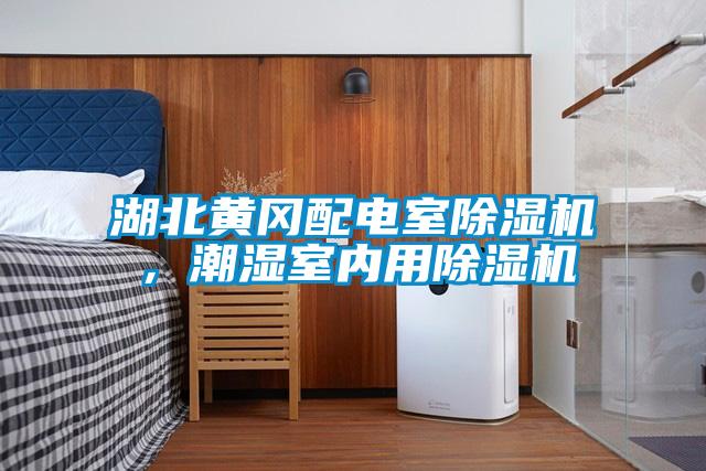 湖北黃岡配電室除濕機,潮濕室內用除濕機