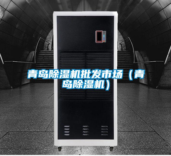 青島除濕機(jī)批發(fā)市場(chǎng)(青島除濕機(jī))