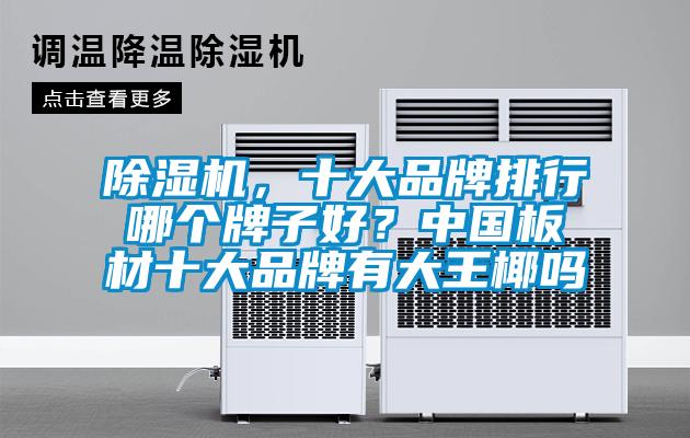 除濕機(jī),十大品牌排行哪個(gè)牌子好?中國板材十大品牌有大王椰嗎